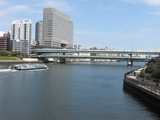 永代橋から上流.JPG