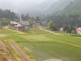 棚田風景1.JPG
