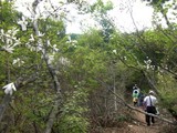 八海山への登山道.JPG